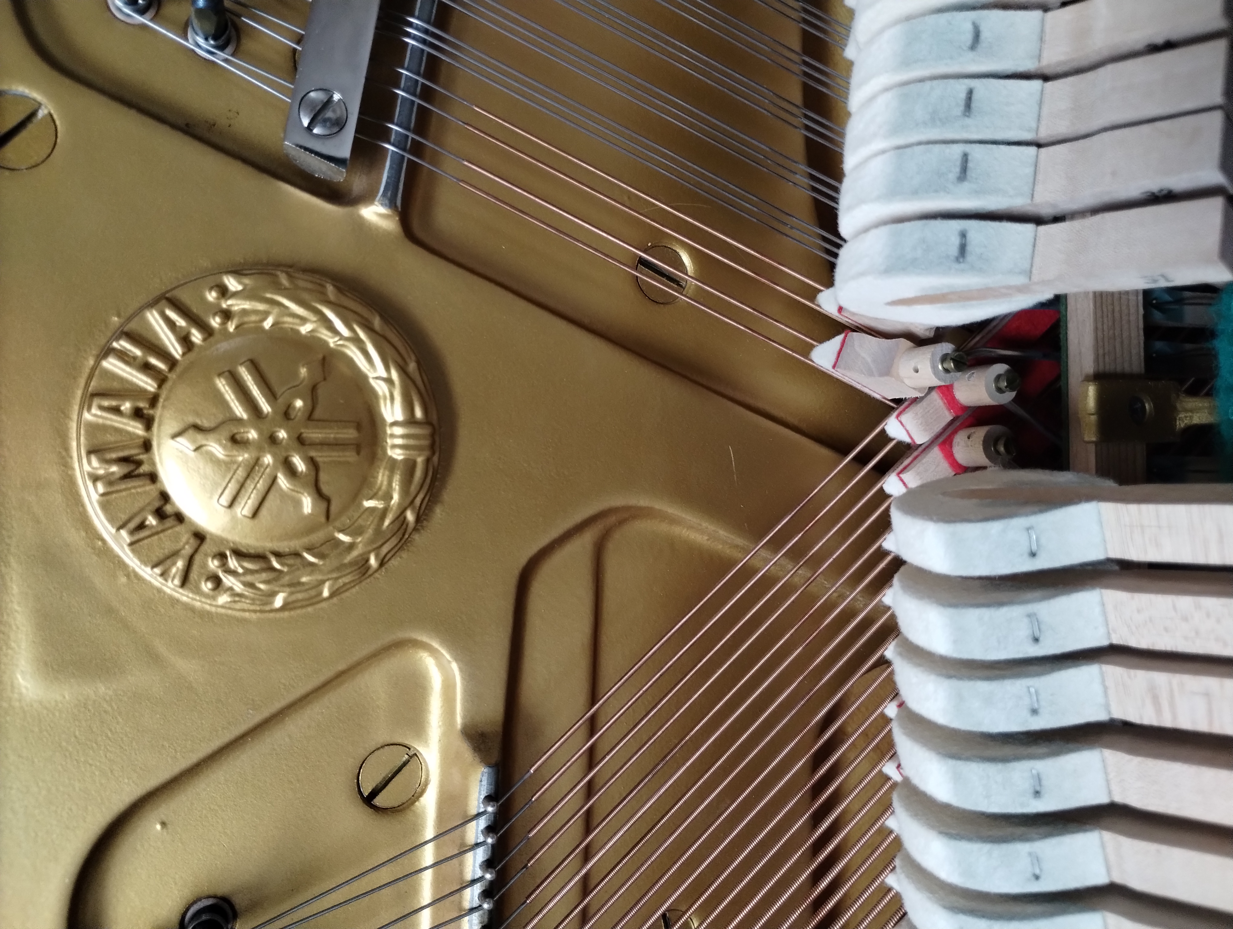Yamaha piano front view